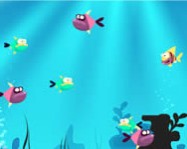 Fish for food online