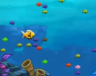 Fishda online horgászós játék