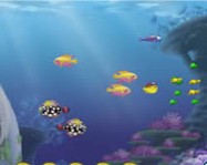 Growing fish ingyen játék
