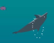 Petz splashdown online horgászós játék