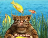 River cat online