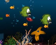 Star fish horgászós játékok